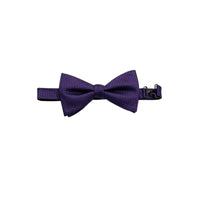 Close-up of a Purple Bow Tie  a white background